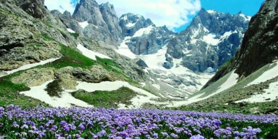 Hakkari İli ve İlçeleri: Tarih, Kültür ve Ekonomiyle Dolu Detaylı Rehber!